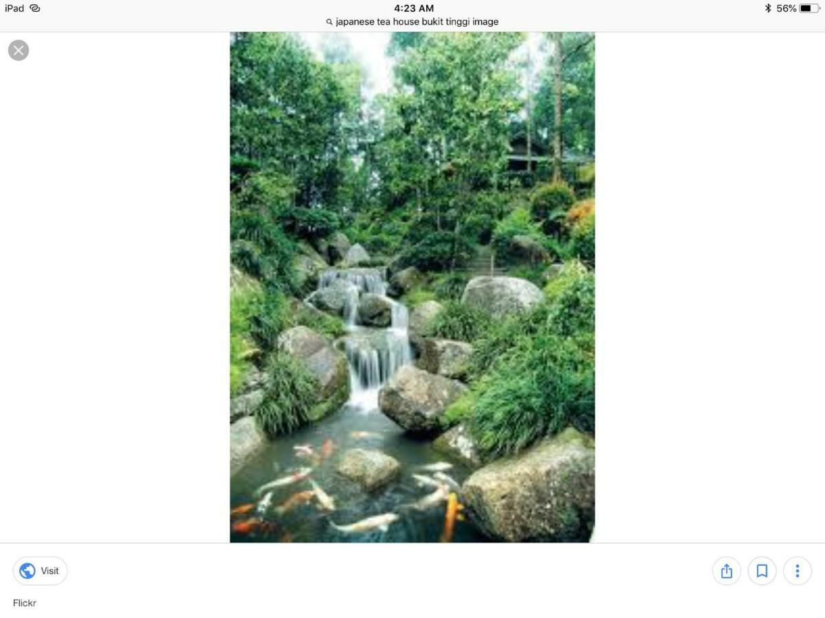 Bukit Tinggi Berjaya Hill Homestay Bagian luar foto