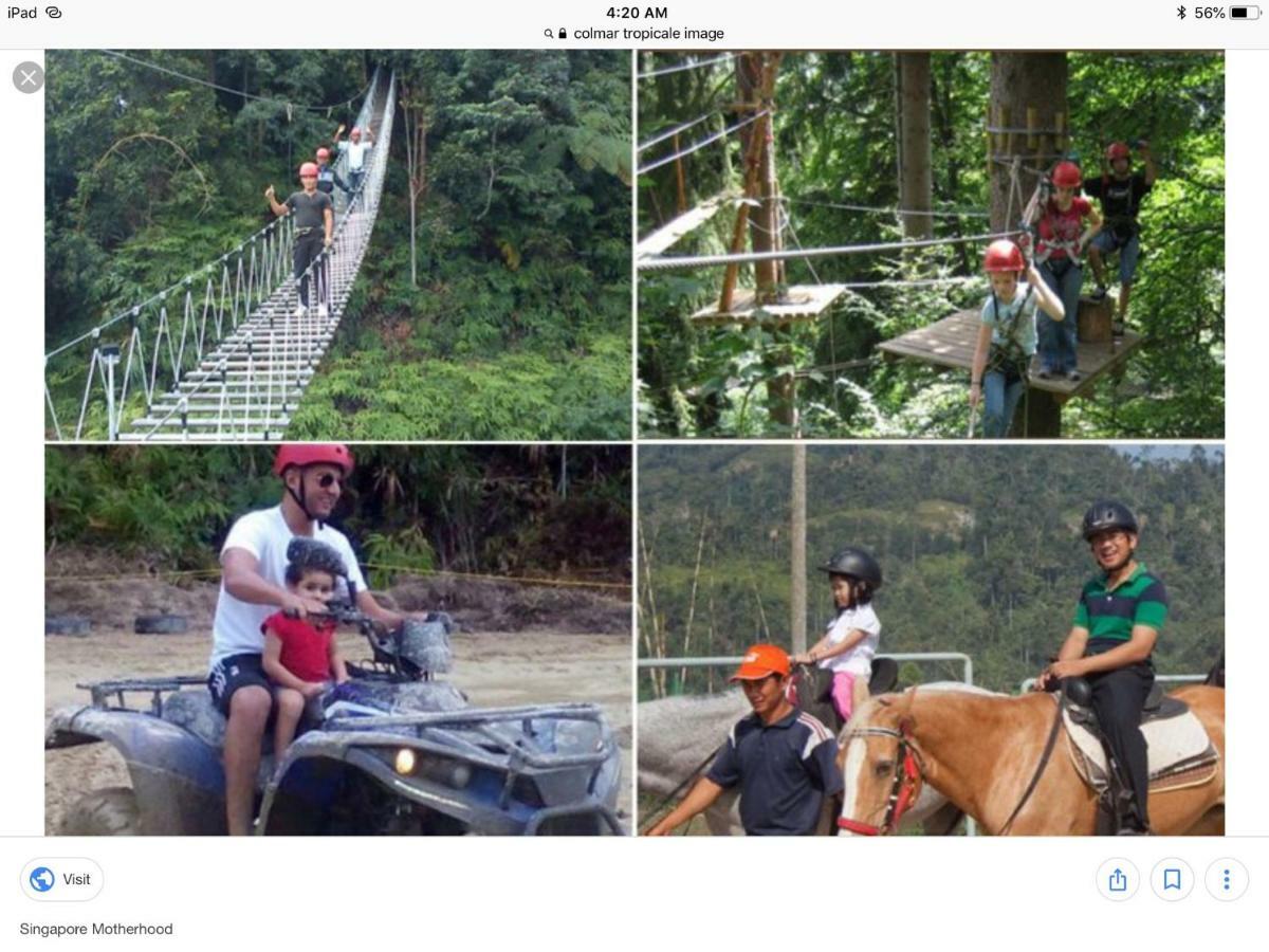 Bukit Tinggi Berjaya Hill Homestay Bagian luar foto