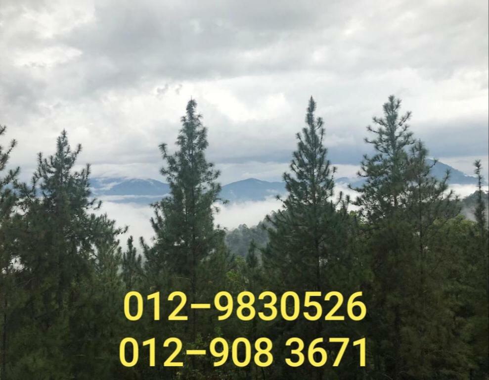 Bukit Tinggi Berjaya Hill Homestay Bagian luar foto